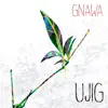 Ujig - Gnawa - Single